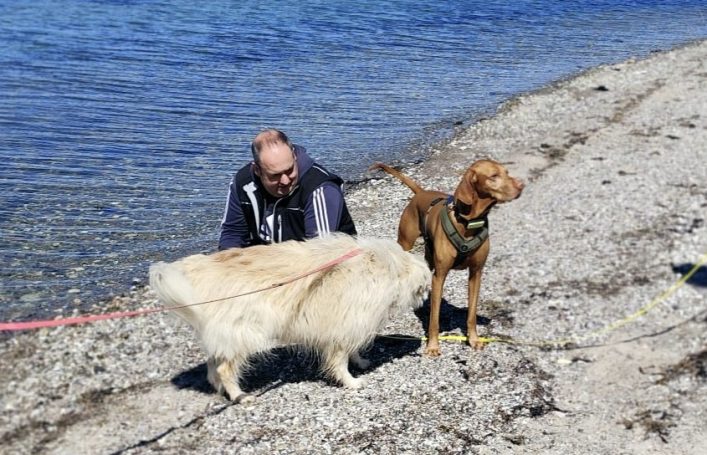 Mann kniet am Ufer, während zwei Hunde spielen und am Wasser schnüffeln.