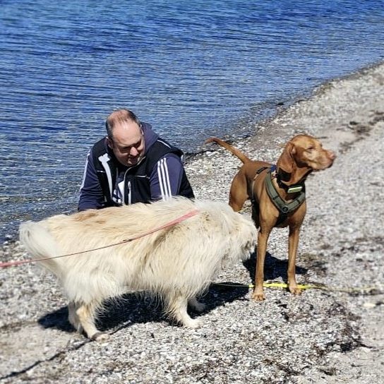 Mann kniet am Ufer, spielt mit zwei Hunden, einer braun, der andere hell.