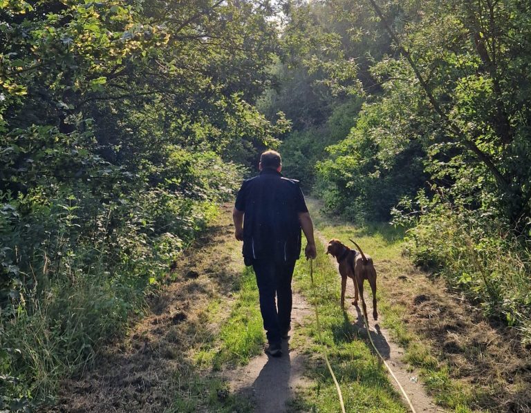 Ein Mann geht mit einem Hund auf einem Waldweg durch grünes Unterholz.