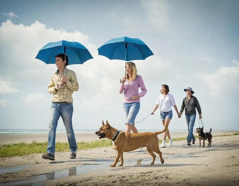 Vier Personen spazieren mit Hunden an einem Strand, während sie blaue Regenschirme halten.
