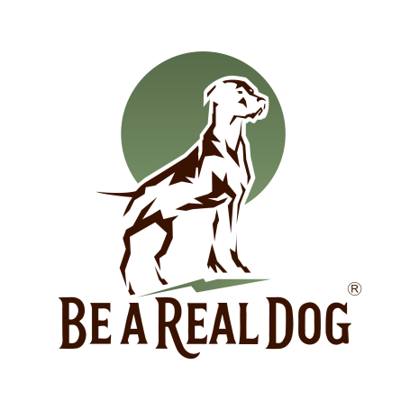 Hundeschule benjamin Gerlach